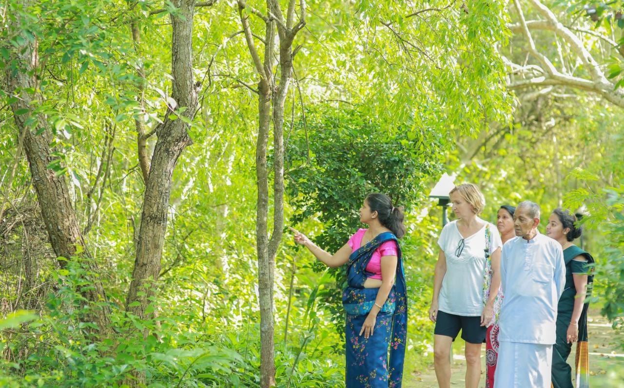 Nature Lanka Ayurveda Resort - All Meals And Ayurveda Treatments With Yoga Tangalle Exterior photo